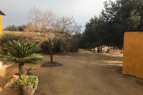 Купить дом в Палафружель, Испания № 1646 - фото 17
