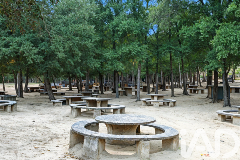 Купить земельный участок в Аренис де Мунт, Испания 87615м², № 4651 - фото 2