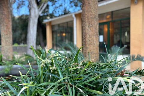 Купить земельный участок в Аренис де Мунт, Испания 87615м², № 4651 - фото 16