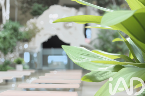 Купить земельный участок в Аренис де Мунт, Испания 87615м², № 4651 - фото 7