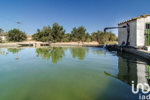 5 bedrooms house for sale in Santa Oliva, Tarragona, Catalonia, Spain № 4874 - photo 9