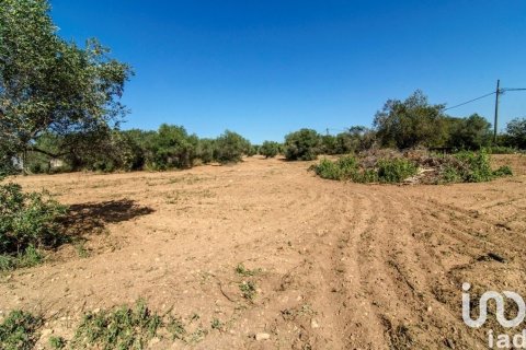 5 bedrooms house for sale in Santa Oliva, Tarragona, Catalonia, Spain № 4874 - photo 7