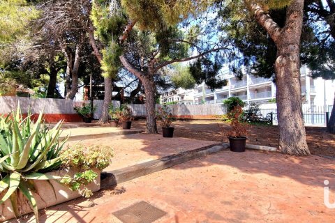 Купить кафе / ресторан в Рода де Бера, Испания 658м², № 4873 - фото 16