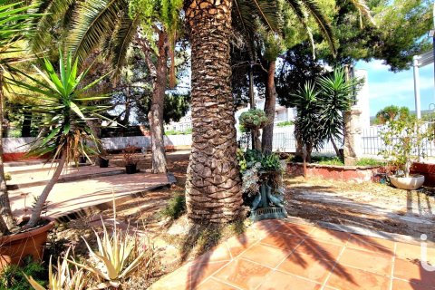 Купить кафе / ресторан в Рода де Бера, Испания 658м², № 4873 - фото 18