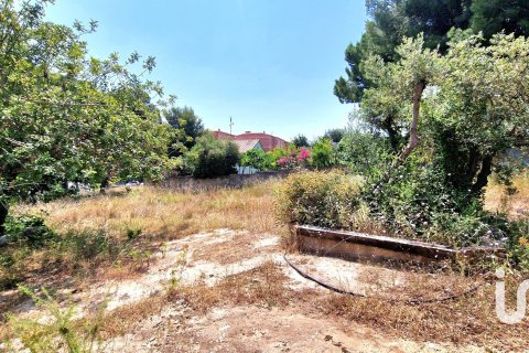 Купить земельный участок в Рода де Бера, Испания 2231.51м², № 4876 - фото 13