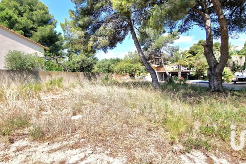 Купить земельный участок в Рода де Бера, Испания 2231.51м², № 4876 - фото 14