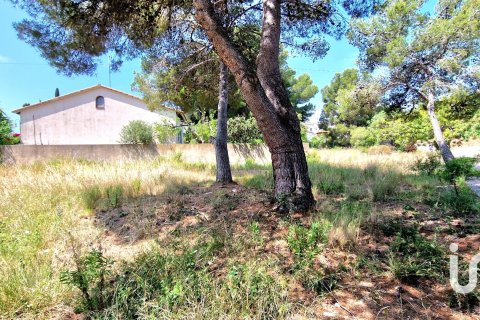 Купить земельный участок в Рода де Бера, Испания 2231.51м², № 4876 - фото 12