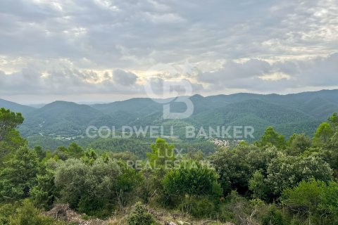 2209727 sq.m. land plot for sale in Girona, Catalonia, Spain № 5565 - photo 5