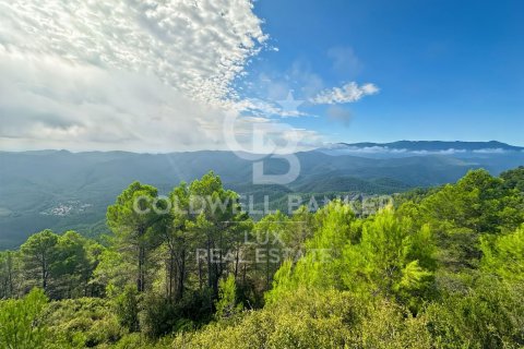 2209727 sq.m. land plot for sale in Girona, Catalonia, Spain № 5565 - photo 4