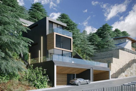 Peak Houses в Принципате Андорре  № 334