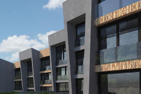 Les Cases dels Vilars в Принципате Андорре  № 333