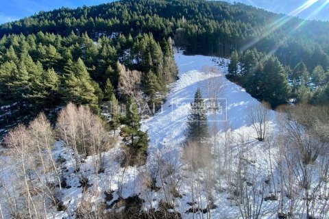 2 bedrooms penthouse for sale in Principado De Andorra (Ninguna Poblacion Tiene C.P.), Lleida, Catalonia, Spain № 5289 - photo 5