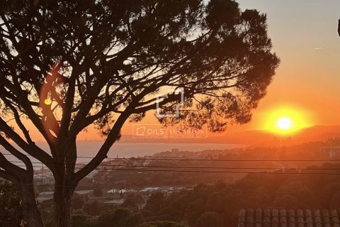 6 chambres villa à vendre à Premia De Dalt, Barcelona, Catalonia, Spain № 3997 - photo 17