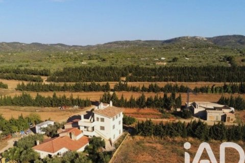 Купить земельный участок в Камарлес, Испания 218591м², № 7528 - фото 3