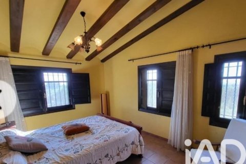 Купить земельный участок в Камарлес, Испания 218591м², № 7528 - фото 16