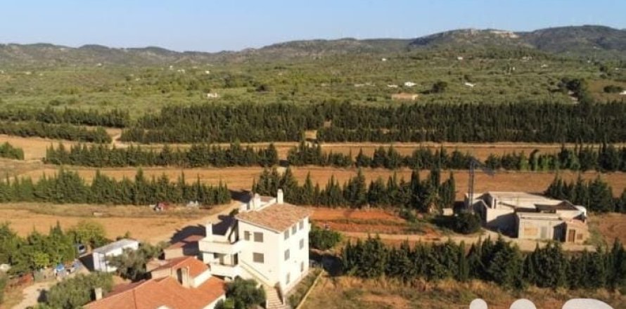 Земельный участок 218591м² в Камарлесе, Таррагона, Каталония, Испания № 7528