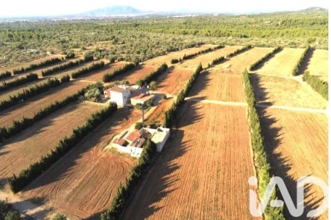 Купить земельный участок в Камарлес, Испания 218591м², № 7528 - фото 2
