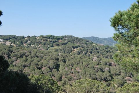 5 chambres apartment à vendre à Sant Andreu de Llavaneres, Barcelona, Catalonia, Spain № 3585 - photo 3