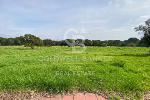 Купить земельный участок в Пералада, Испания 2498м², № 5742 - фото 5