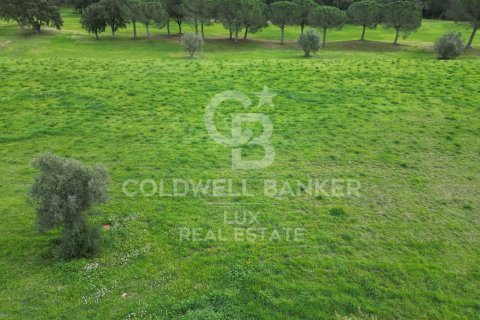 Купить земельный участок в Пералада, Испания 2498м², № 5742 - фото 8