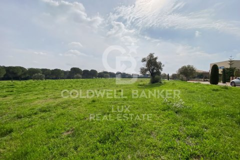 Купить земельный участок в Пералада, Испания 2498м², № 5742 - фото 4