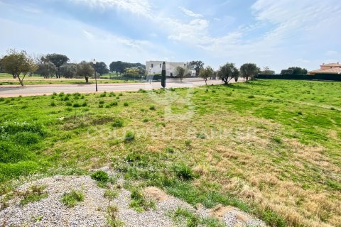 Земельный участок 2552м² в Пераладе, Герона, Каталония, Испания № 5743