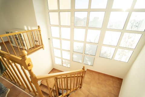 Купить дом в Калафелл, Испания с 5 комнат, № 1734 - фото 19