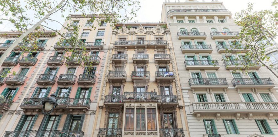 580 sq.m. commercial property for sale in Ciutat Vella, Barcelona, Catalonia, Spain № 4585