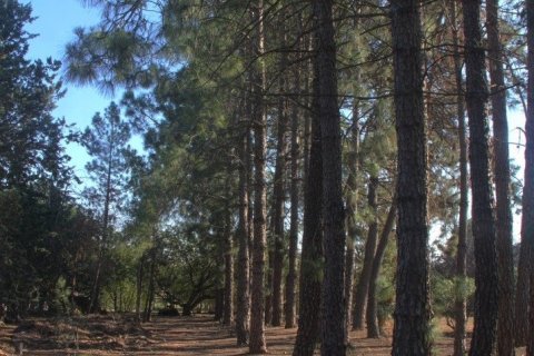 4 bedrooms house for sale in Valls, Tarragona, Catalonia, Spain № 5072 - photo 25