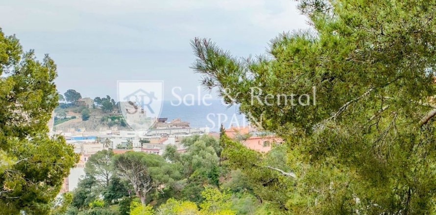 2 bedrooms apartment for rent in Tossa de Mar, Girona, Catalonia, Spain № 6724