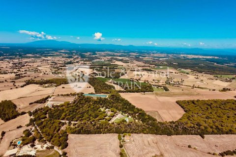 7 bedrooms house for sale in Llagostera, Girona, Catalonia, Spain № 6720