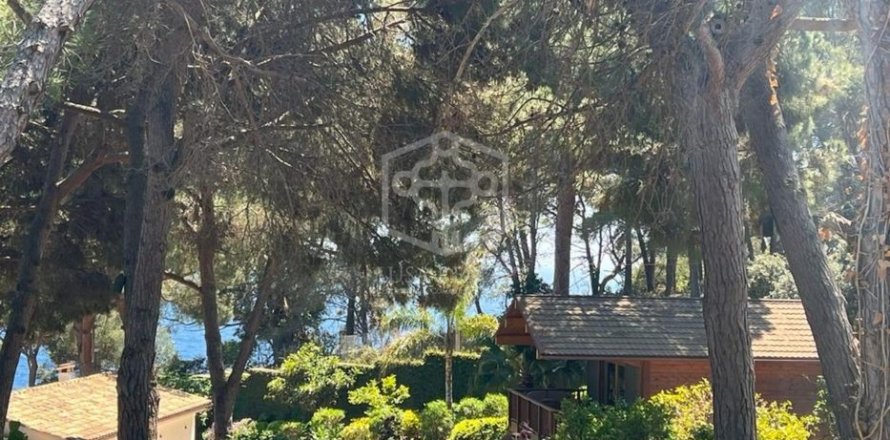 Земельный участок 200м² в Льорет-де-Мар, Герона, Каталония, Испания № 3081