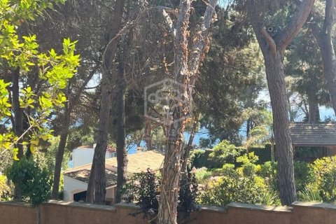 Купить земельный участок в Льорет-де-Мар, Испания 200м², № 3081 - фото 2