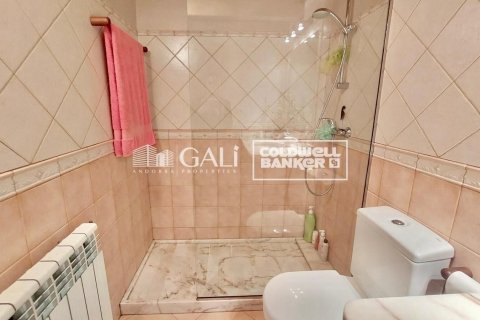 4 bedrooms penthouse for rent in Principado De Andorra (Ninguna Poblacion Tiene C.P.), Lleida, Catalonia, Spain № 5278 - photo 28