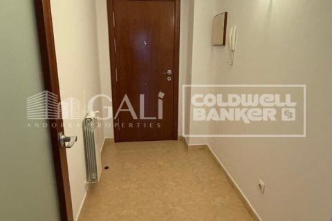 3 chambres apartment à louer à Principado De Andorra (Ninguna Poblacion Tiene C.P.), Lleida, Catalonia, Spain № 5277 - photo 20