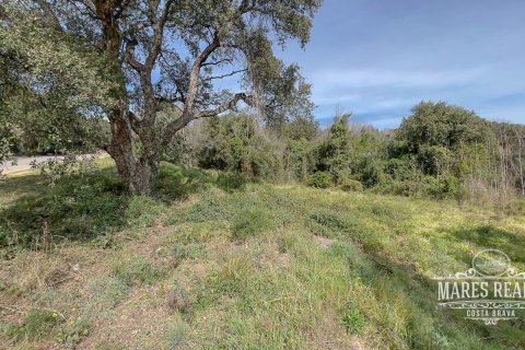 Купить земельный участок в Льорет-де-Мар, Испания 1551м², № 989 - фото 2