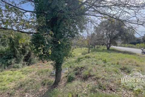 Купить земельный участок в Льорет-де-Мар, Испания 1551м², № 989 - фото 7