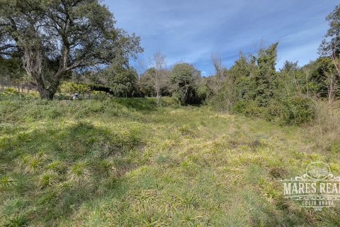 Купить земельный участок в Льорет-де-Мар, Испания 1551м², № 989 - фото 3