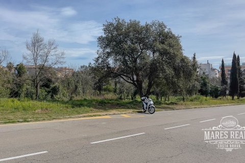 Купить земельный участок в Льорет-де-Мар, Испания 1551м², № 989 - фото 8