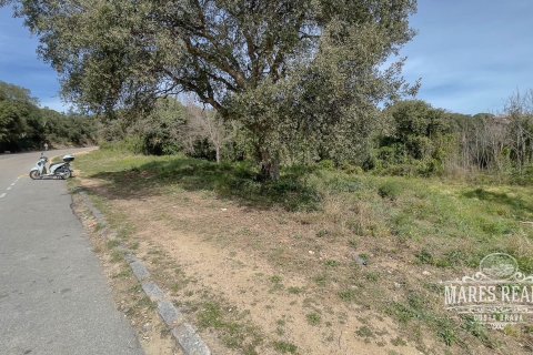 Земельный участок 1551м² в Льорет-де-Мар, Герона, Каталония, Испания № 989