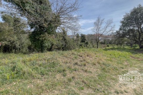 Купить земельный участок в Льорет-де-Мар, Испания 1551м², № 989 - фото 6