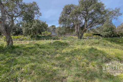 Купить земельный участок в Льорет-де-Мар, Испания 1551м², № 989 - фото 4