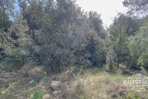 Земельный участок 1450м² в Льорет-де-Мар, Герона, Каталония, Испания № 987