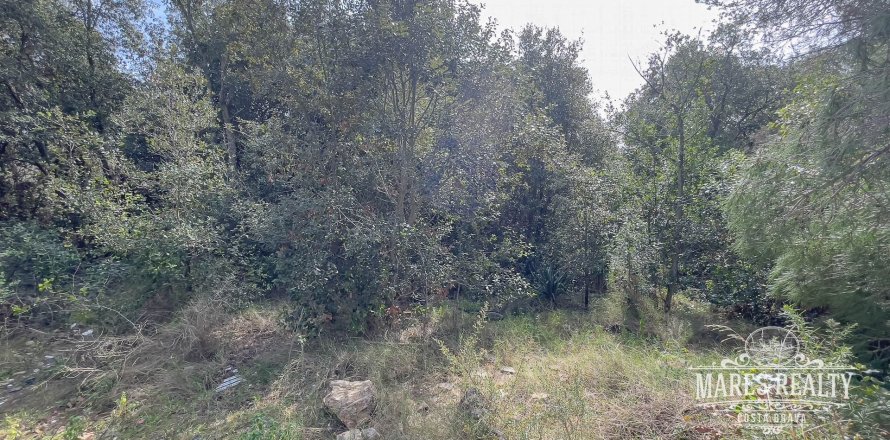 Земельный участок 1450м² в Льорет-де-Мар, Герона, Каталония, Испания № 987