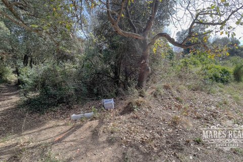 Купить земельный участок в Льорет-де-Мар, Испания 1450м², № 987 - фото 4