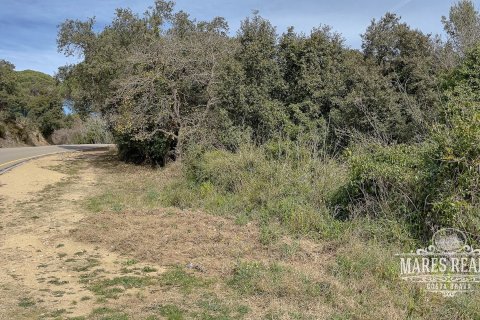 Купить земельный участок в Льорет-де-Мар, Испания 1450м², № 987 - фото 5