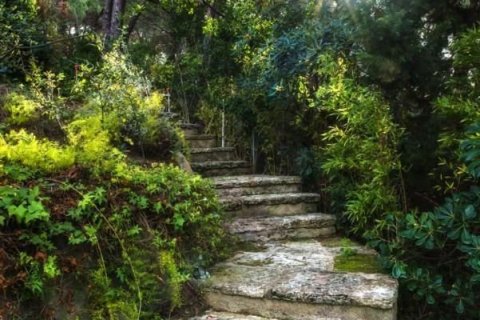 Купить виллу в Льорет-де-Мар, Испания с 5 спален, 360м², № 901 - фото 3