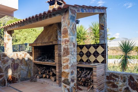 6 chambres villa à vendre à Cabrils, Barcelona, Catalonia, Spain № 3911 - photo 29