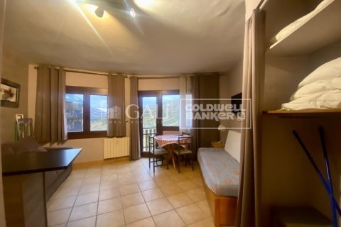 36 sq.m. apartment for rent in Principado De Andorra (Ninguna Poblacion Tiene C.P.), Lleida, Catalonia, Spain № 6101 - photo 4