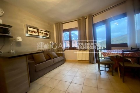 36 sq.m. apartment for rent in Principado De Andorra (Ninguna Poblacion Tiene C.P.), Lleida, Catalonia, Spain № 6101